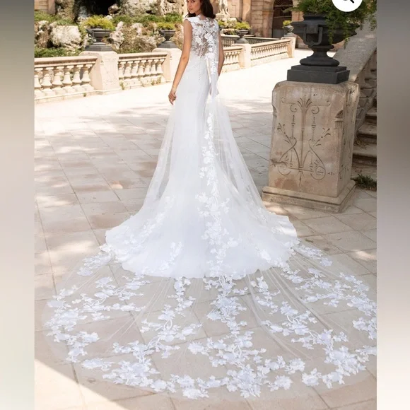 Pronovias Drail Wedding Gown - Picture 5 of 16